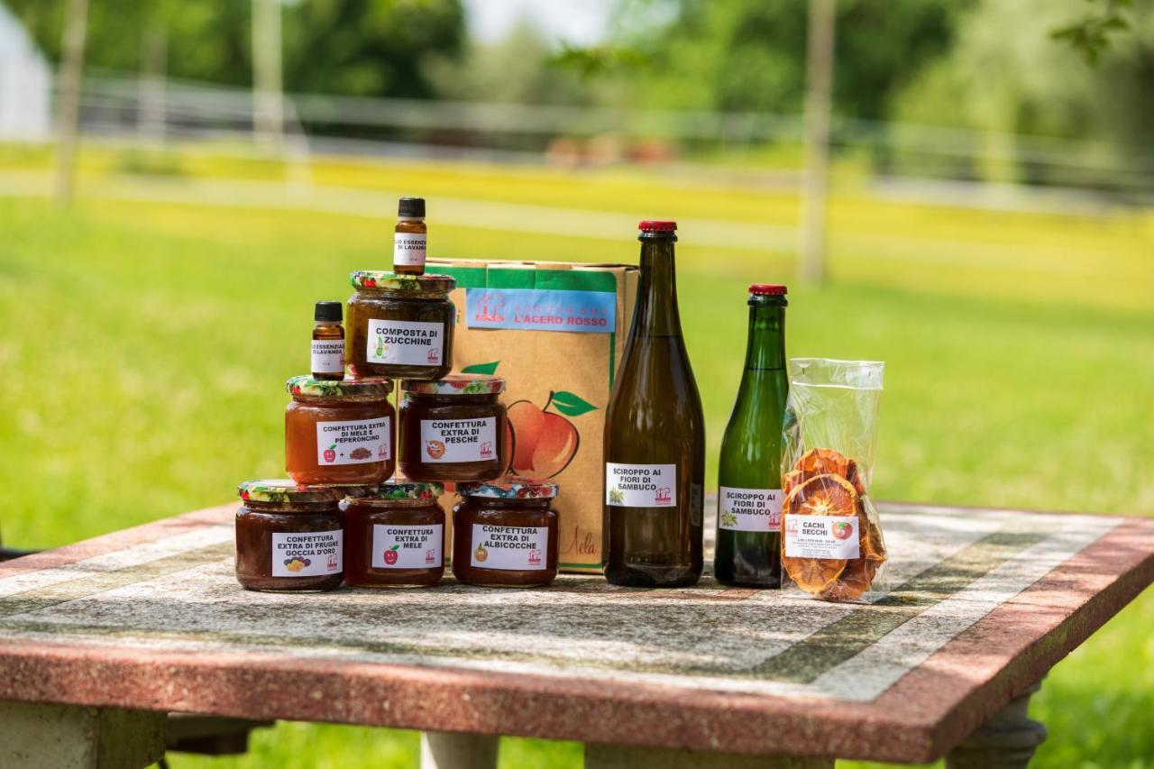 Agriturismo L'Acero Rosso Sacile Kültér fotó