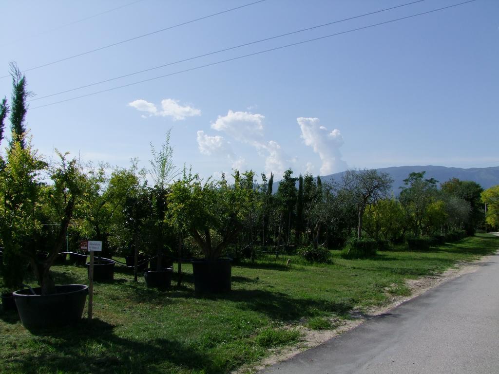 Agriturismo L'Acero Rosso Sacile Kültér fotó