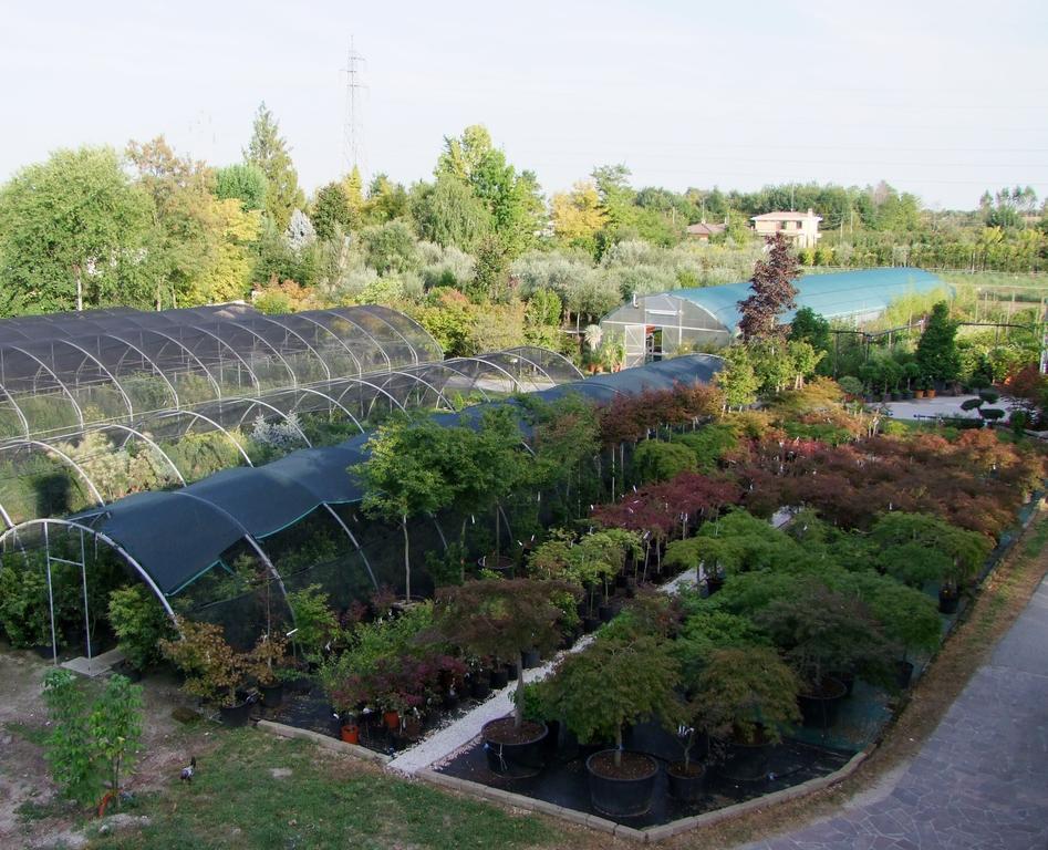 Agriturismo L'Acero Rosso Sacile Kültér fotó