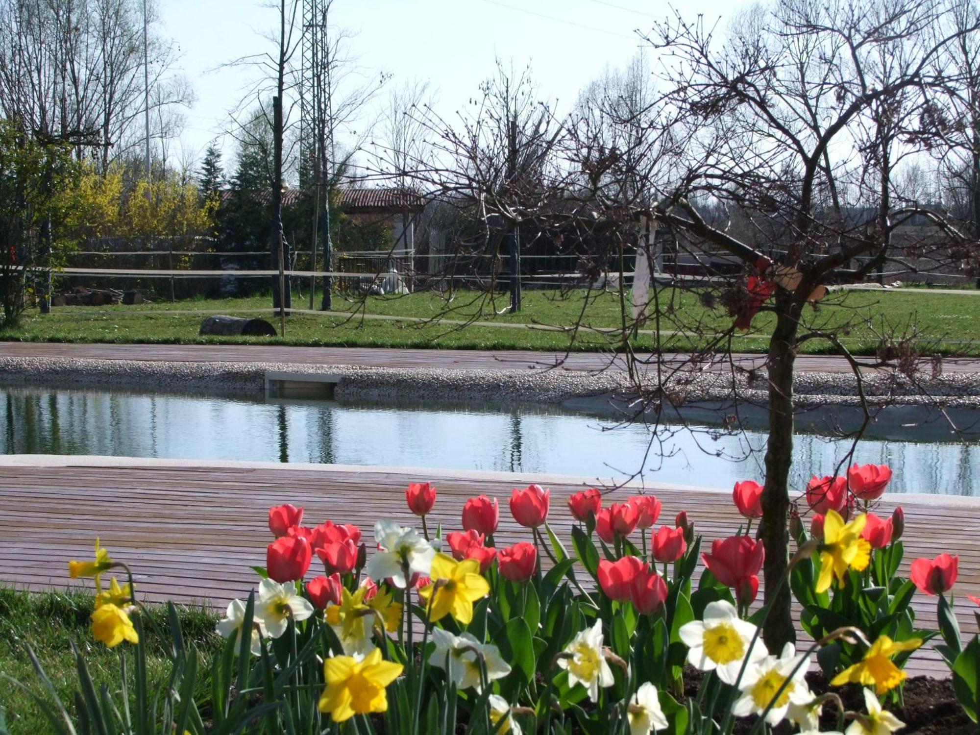 Agriturismo L'Acero Rosso Sacile Kültér fotó